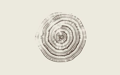 There Was a Pine Tree